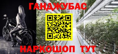 ПСИЛОЦИБИНОВЫЕ ГРИБЫ Гагарин